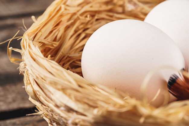 L'œuf de poule pourri en rêve : un symbole de transformation