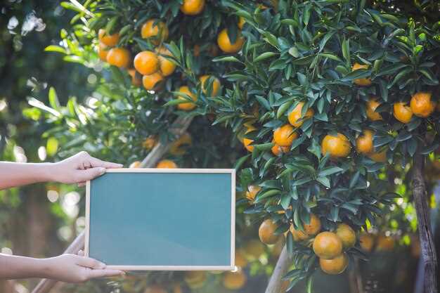 2. Instabilité et inconstance