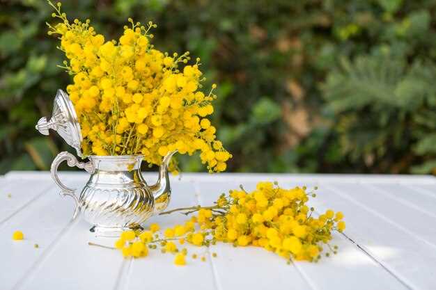 Acacia en fleurs en rêve : quelle signification ?