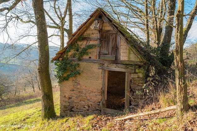 Le rêve d'acheter une vieille maison en bois et les changements dans la vie