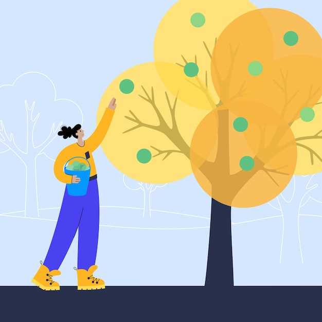 Représentation de la nature