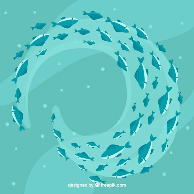 Filet de pêche traditionnel