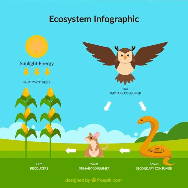 Le symbolisme de l'oiseau dans les rêves