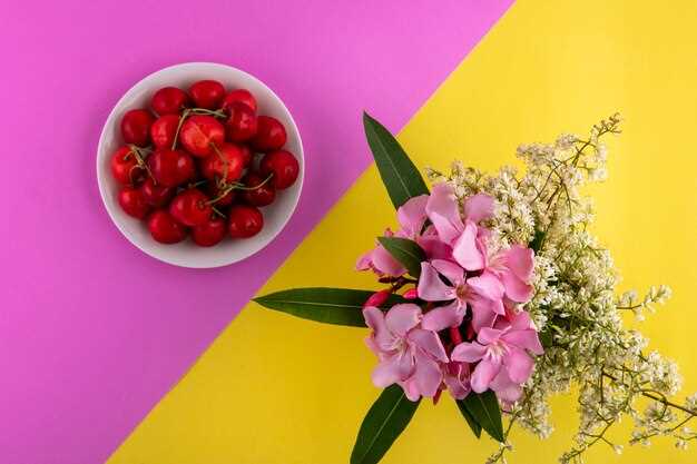 Les baies et les fleurs dans les rêves romantiques