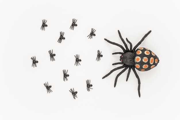 Dans l'inconscient collectif