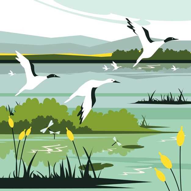 Le symbolisme de l'eau dans les rêves