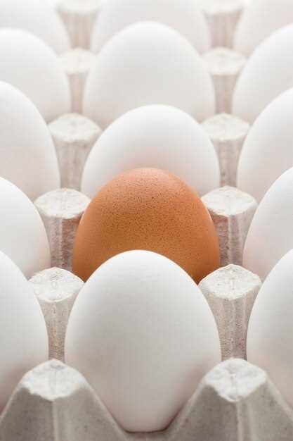 La fertilité et le renouveau