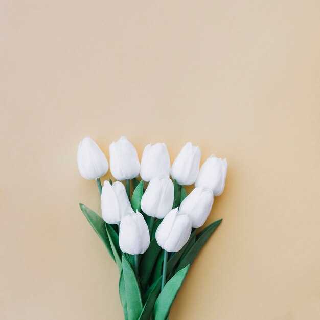 Signification d'un bouquet d'œillets blancs