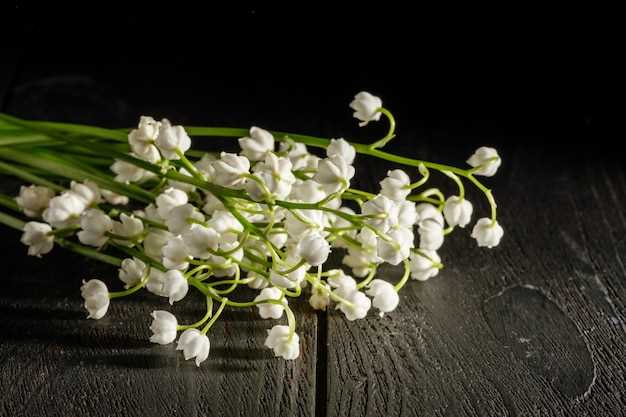 Représentation de l'innocence