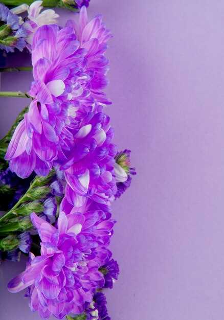 La combinaison de couleurs dans un bouquet violet