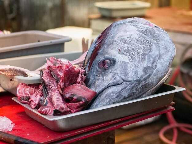 Interprétation des rêves : qu'est-ce que cela signifie ?