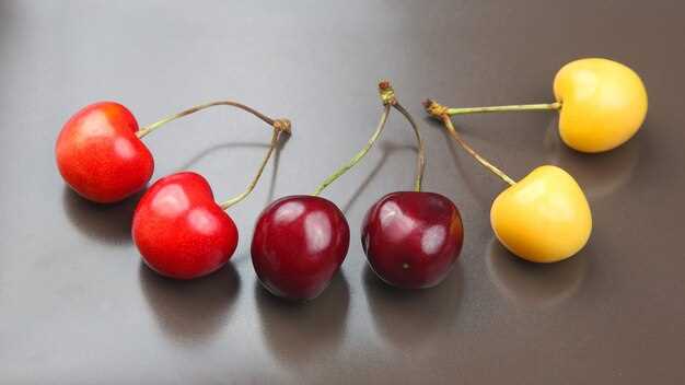 Références dans la littérature