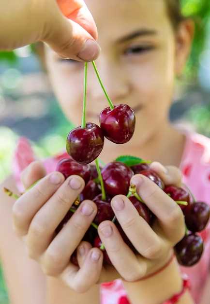 1. Les cerises douces rouges