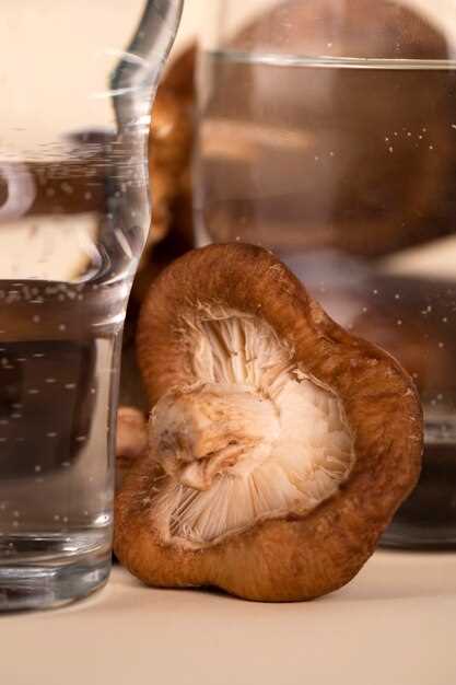 Conservation des souvenirs culinaires