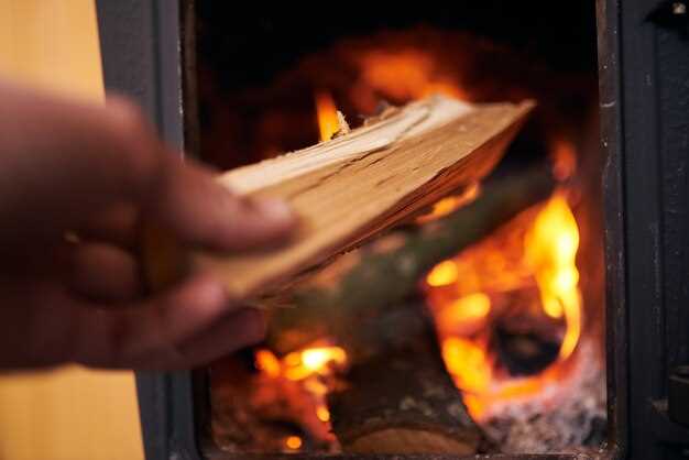 Le charme traditionnel d'une cuisinière au bois