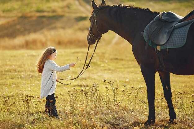 Le cheval maigre et les difficultés émotionnelles