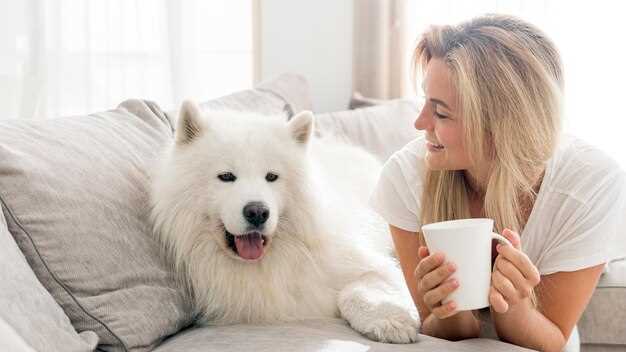 Chien blanc en rêve : message de protection et de compagnie