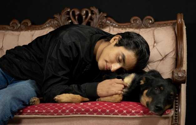 Symbolique culturelle