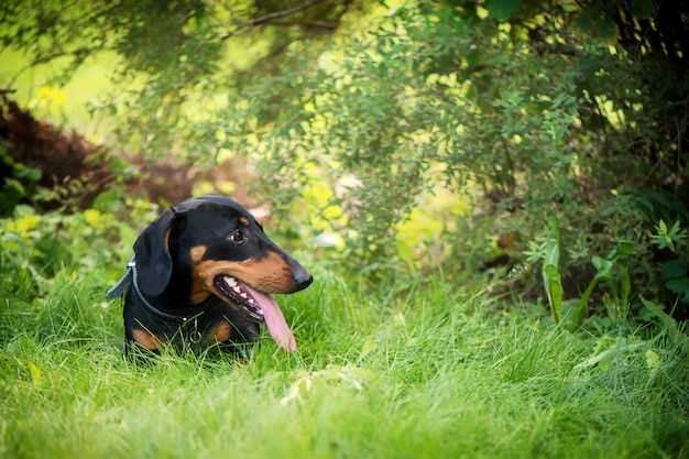 Les peurs inconscientes