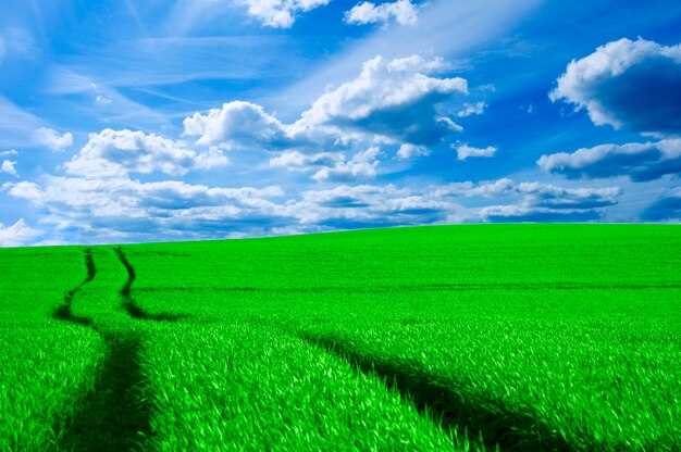 Le symbolisme du vert dans l'interprétation des rêves