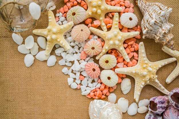 Coquillages et transformation personnelle