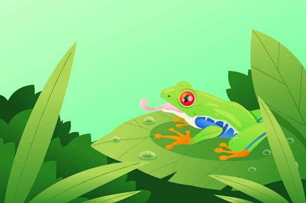 Le crapaud vert et la nature