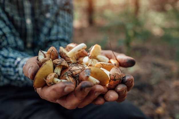 1. Renouveau et croissance personnelle