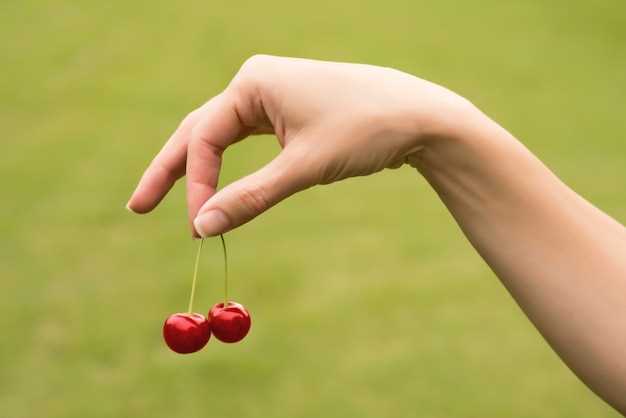 Cueillir des cerises sur l'arbre