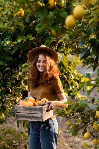 L'orange et ses symboles