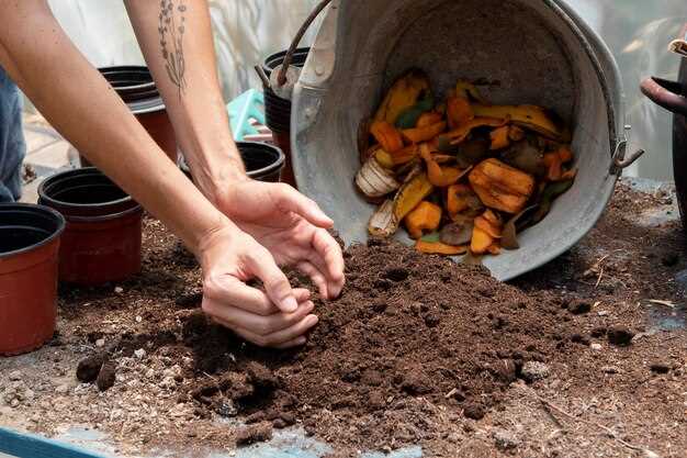 Découvrez l'interprétation des rêves de déterrer les jeunes pommes de terre