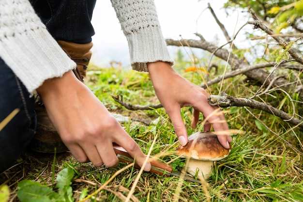 L'influence de l'environnement : comment l'analyser