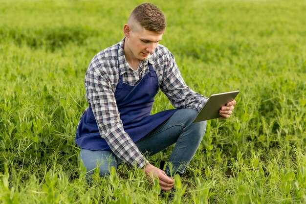 Rêver d'herbe haute dans différentes cultures