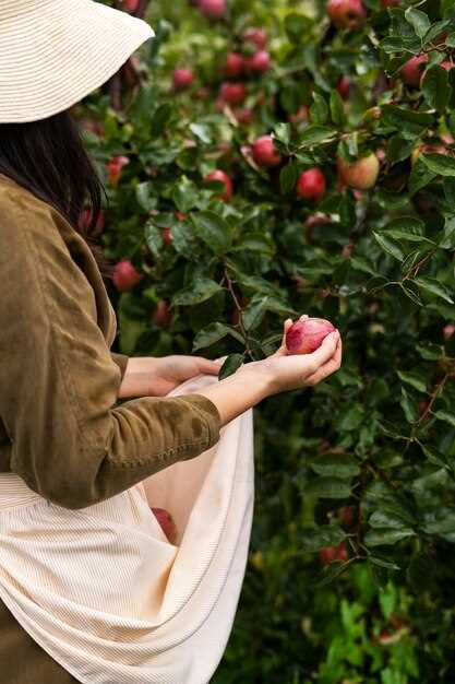 Les pommes rouges : symbole de prédiction