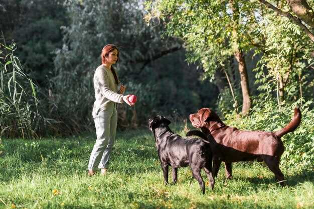 Symbolisme du dressage des chiens