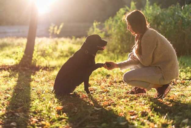 L'influence de notre propre relation avec les chiens