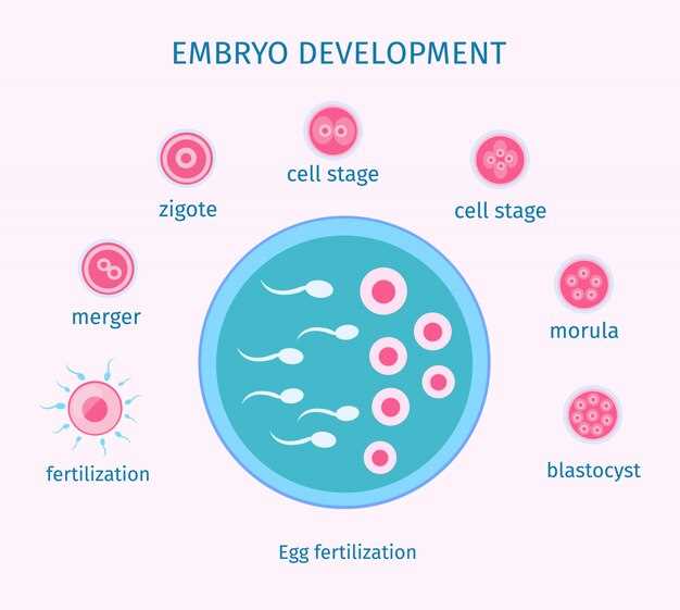 Symbolisme de l'embryon