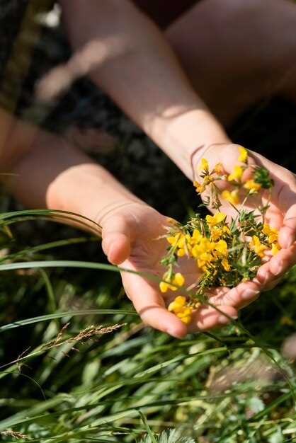 Les fleurs à la main : un symbole de beauté