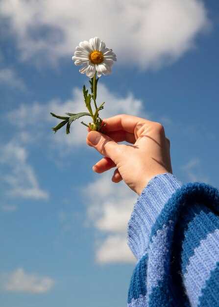 Les fleurs épanouies comme symbole de paix