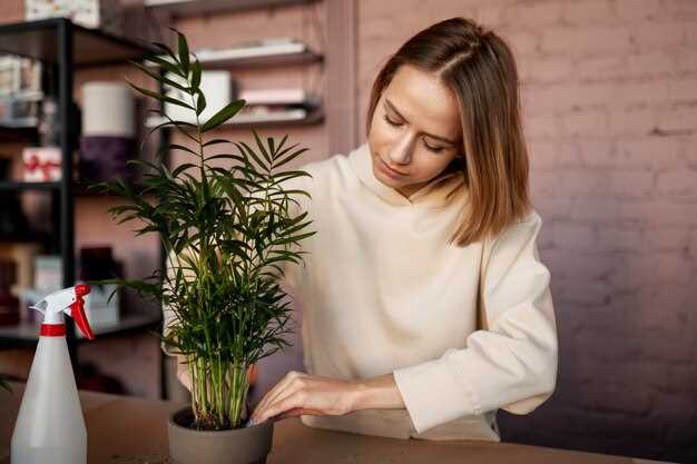 Un rappel de la beauté simple