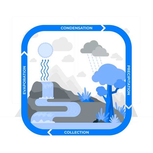 Fosse d'évacuation des eaux usées en rêve : quelle signification ?