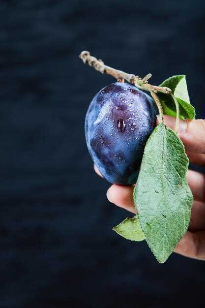 La signification spécifique des rêves de grande prune bleue dans les cultures anciennes