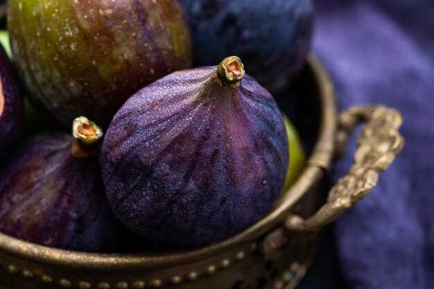 Grande prune bleue en rêve : un symbole de transformation et de renouveau