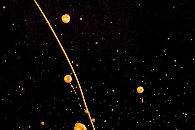 Protection et préservation