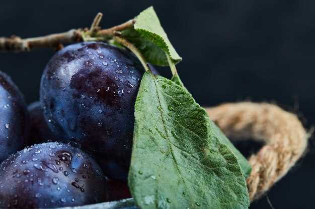 Comment interpréter les prunes mûres en rêve ?