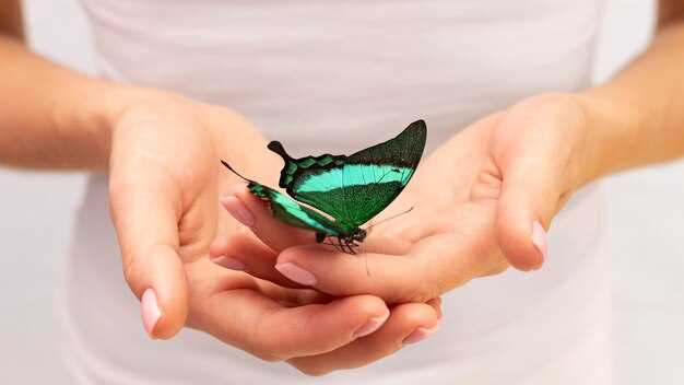 Les différentes interprétations possibles