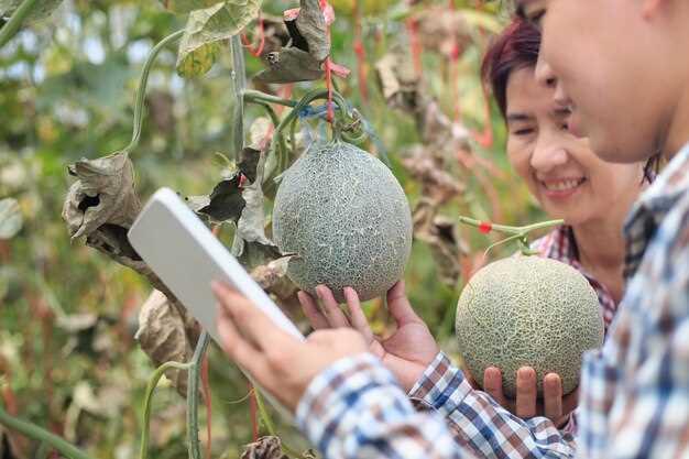 Symbole de la fertilité