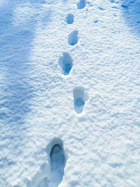 La signification culturelle de la fonte de la glace dans les rêves