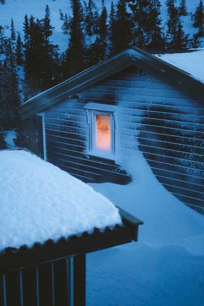 Signification de la maison qui passe sous la glace en rêve : exploration et interprétation