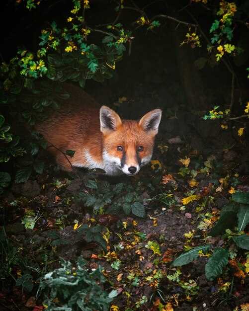 1. Le symbolisme des animaux