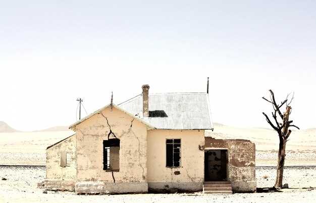 Les autres symboles souvent associés à la maison en ruine